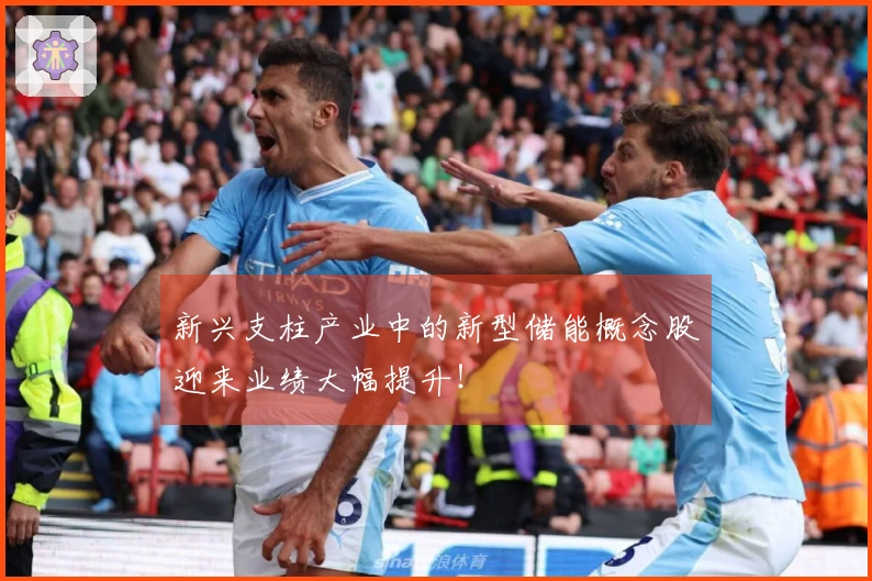 新兴支柱产业中的新型储能概念股迎来业绩大幅提升！