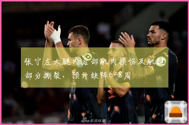 张宁左大腿内后部肌肉损伤及肌腱部分撕裂，预计缺阵6-8周
