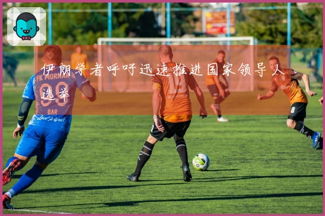 伊朗学者呼吁迅速推进国家领导人选举